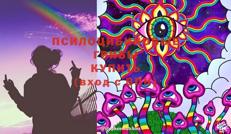 Галлюциногенные грибы Cubensis  Калачинск 