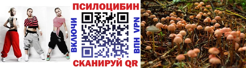 наркошоп сайты даркнета официальный сайт Галлюциногенные грибы MAGIC MUSHROOMS Калачинск